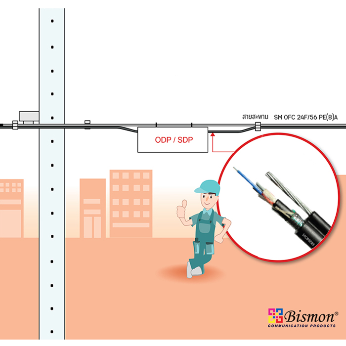 Fiber Optic Cable Aerial (TIS: 2166/2548)